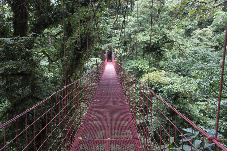 Bosque Nuboso Monteverde, Costa Rica.